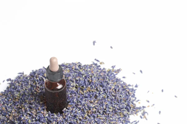 Lavanta kuru çiçekler.