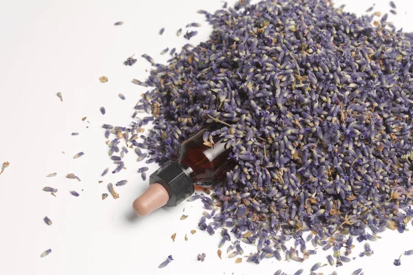 Lavanta kuru çiçekler.