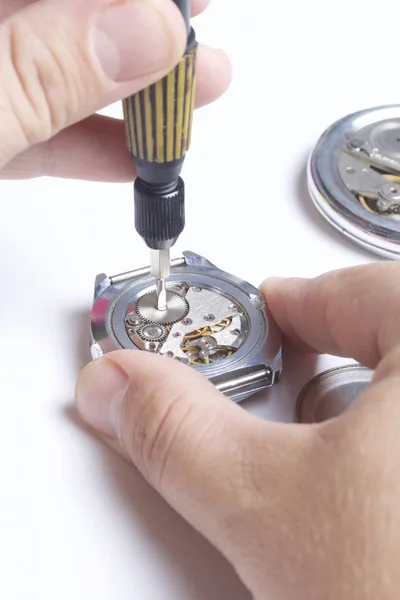 The watch workshop. Repair of old watches. The mechanism of the clock, the screwdriver, which the master makes repairs, is visible. On a white background.