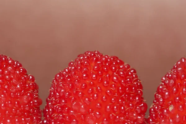 Velké červené bobule jsou podobné maliny. Na hnědé pozadí. — Stock fotografie