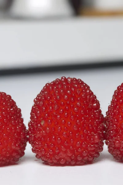 Большие красные ягоды похожи на малину . — стоковое фото
