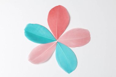 Zümrüt kuş tüyleri, kırmızı ve pembe renk yalan bir çiçek şeklinde. Beyaz bir arka plan üzerinde.