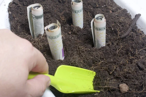 A pénz nő a földön egy virág pot. Papír számlák, egy cső, hajtogatott kibír ki a földből. Van egy eszköz a talaj ápolása. — Stock Fotó