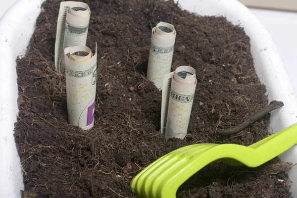 A pénz nő a földön egy virág pot. Papír számlák, egy cső, hajtogatott kibír ki a földből. Van egy eszköz a talaj ápolása. — Stock Fotó