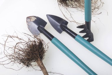 Çiçekçilik minyatür araçlar. Küçük kürek ve saksı Earth'te yetiştirilmesi Tırmıklar.