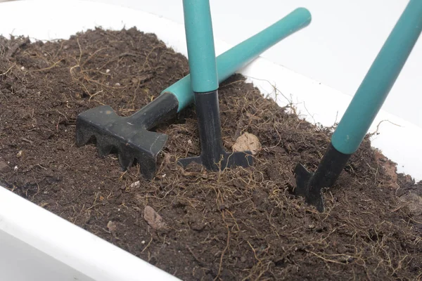 Miniature tools for floriculture. Small shovels and rakes for cultivating the earth in flower pots.