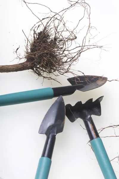 Herramientas miniatura para floricultura. Pequeñas palas y rastrillos para cultivar la tierra en macetas . — Foto de Stock