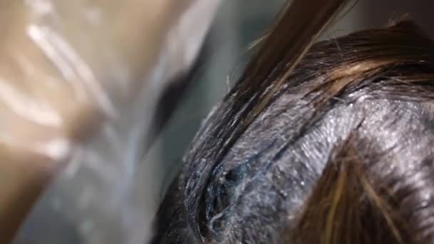 Mistr Maluje barvou na vlasy s kartáčem. — Stock video