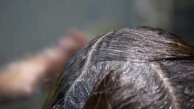 Asıl boya fırçası ile Saç boyaları.