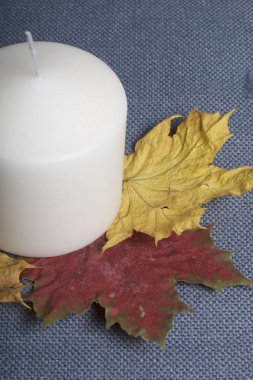 Mumlar stand üzerinde düşmüş sonbahar farklı renklerde kalkıyor. Bu bez gri arka plan üzerinde.