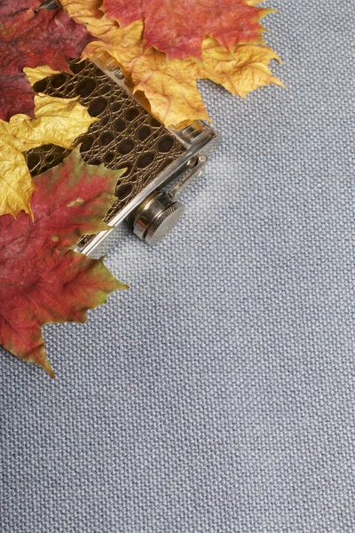 Słój leżący na tkaniny w kolorze szarym. To jest usiana opadłych liści jesienią, w różnych kolorach. — Zdjęcie stockowe
