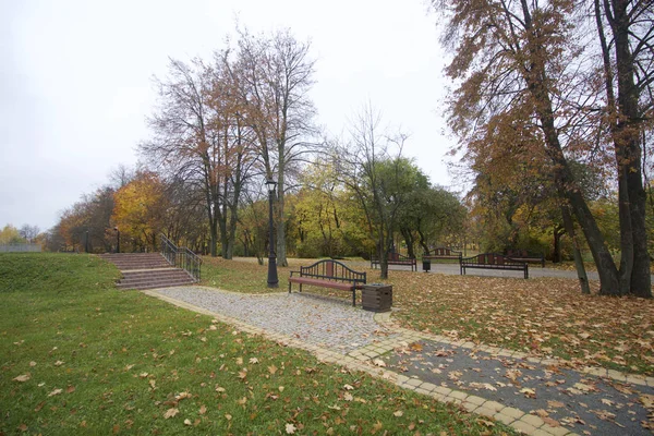 Podzimní krajina v městském parku. Jsou lavičky pro odpočinek, s listy. — Stock fotografie
