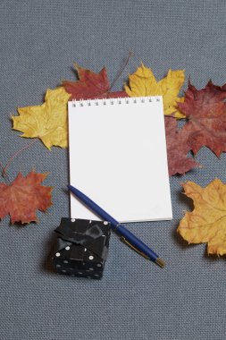 Bir hediye ile bir kara kutu. Açık not defteri ve kalem var. Düşen sonbahar yaprakları sarı ve kırmızı yüzeyinde dağılmış.