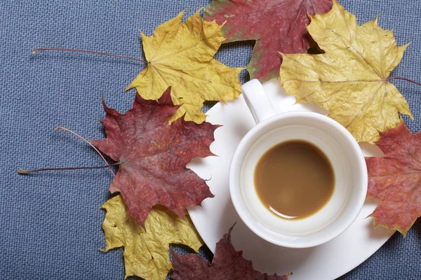 Une tasse avec du café non approuvé. Les feuilles tombées en automne de jaune et de rouge sont éparpillées à la surface . — Photo