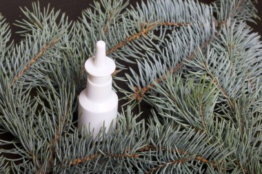 Burun spreyi. Şişe olduğunu. Mavi ladin dalları tarafından çevrili.