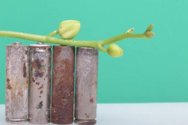Batteries of corrosion. They stand on a white surface, covered with a branch of orchids with unrevealed buds. Оn a green background. Environmental protection, recycling of used batteries. clipart