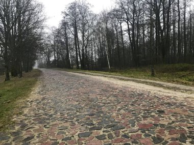 Ormanın ortasında yürüyen siyah ve kırmızı taştan yapılmış eski kırsal yolu.