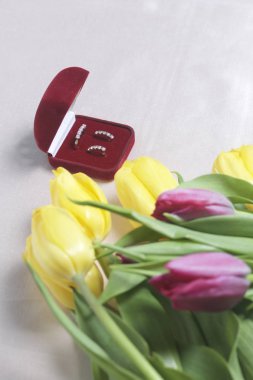 Sevdikleriniz için hediyeler. Bir buket sarı ve Pembe Lale ışık bir yüzeye dağınık olduğunu. Yakınlarda bir açık kadife kırmızı renk ile altın takı kutun.