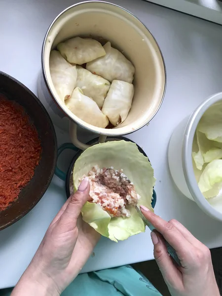 The woman puts the stuffing on the cabbage leaves and wraps it. Preparation of cabbage rolls. Stages of preparation. Preparation of ingredients and cooking. — Stock Photo, Image