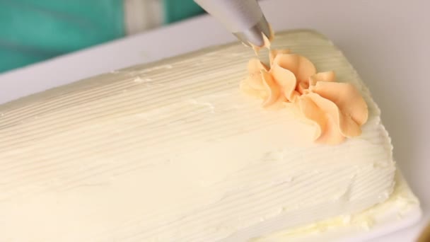 Una donna decora con crema un rotolo di biscotto ricoperto di crema. Usa una sacca da pasticceria . — Video Stock