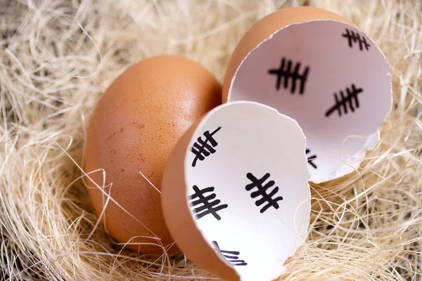 Gebroken eierschaal in het nest. Het markeert de dagen voorbij. Vlakbij een heel ei. broedeieren van kippen. — Stockfoto