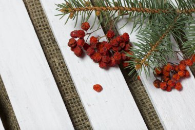Tahta arka planda fidan dalı ve kuru dağ külleri var. Tahtalar beyaza boyanmış..