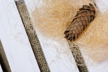 Tahta bir arka planda Firavun konisi ve paçavralar. Tahtalar beyaza boyanmış..