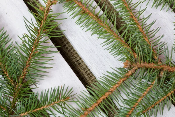 Fir branches on a background of wooden boards. The boards are painted white. — Stock Photo, Image