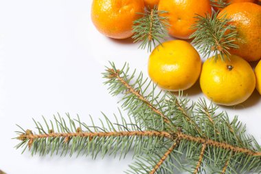 Mandarinler beyaz bir yüzeye dizilmiştir. Aralarında mavi ladin dalları var. Beyaz arkaplanda.