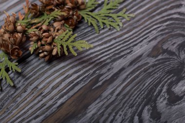 Kurumuş katil ve koni dalları. Siyah bir yapısı olan eski ahşap tahtaların arka planında.