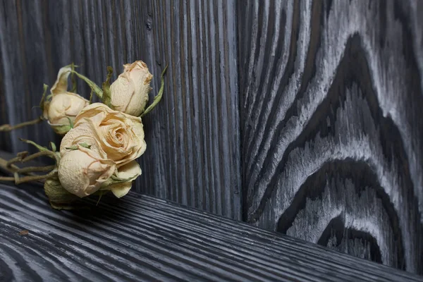 Dried roses on a background of brushed boards.