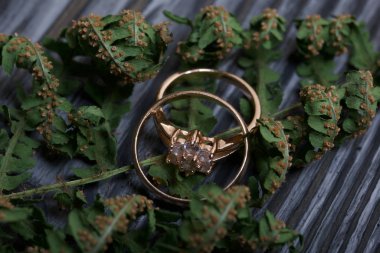 Alyanslar kuru eğrelti otu dalında yatıyor. Siyah beyaza boyanmış çam ağacından tahtalara.