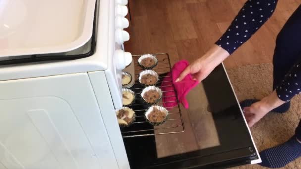 A woman pans into the oven molds with dough for baking muffins. Making a marble cake. — Stockvideo