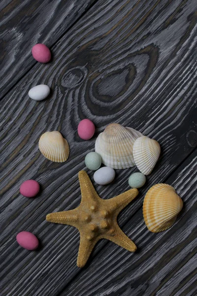 Seesterne, Kieselsteine und viele verschiedene Muscheln. auf gebürstetem Kiefernholz in schwarz-weiß lackiert. — Stockfoto