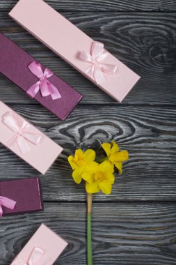 Fırçalanmış çam ağaçlarının yüzeyinde bir buket sarı nergis bulunur. İçinde hediyeler olan karton kutuların yanında. Pembe ve leylak, kurdele ile süslenmiş..