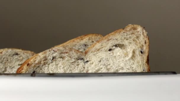 Két szelet kenyeret engednek le a kenyérpirítóba. Közelkép.. — Stock videók