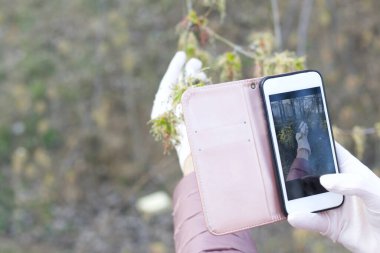 Bir kız, bir bahar parkında akıllı telefondan fotoğraf çekiyor. Yüzünde bir kumaş koruyucu maske var. Bahar ceketi giymişti, boynunda bir atkı vardı. Salgın sırasında temiz havada bir yürüyüş..