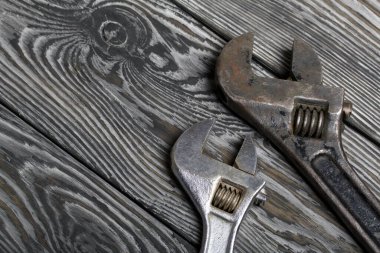 Farklı boylarda ve renklerde ayarlanabilir iki tane sprey. Fırçalanmış çam ağaçlarına uzan. İşçi Bayramı 'nın sembolü.