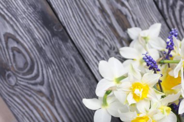 Bir buket sıradan ve Terry nergis. Taranmış tahtaların arka planında siyaha boyanmış.