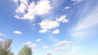 Spring City Parkı. Ağaçlarda genç yeşil yapraklar. Çimenlerin üzerinde sarı karahindibalar var. Mavi gökyüzü bulutlarında