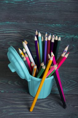 Kalem renkli kalemlerle dolu. Çöp konteynırı şeklinde. Bir kaç kalemin yanında. Siyah ve yeşile boyanmış çam ağaçlarının arka planında.