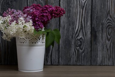 Bir buket farklı renkte leylak. Boyalı çam ağaçlarının arka planında.