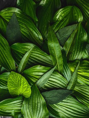 Yeşil yapılmış yaratıcı arka plan bırakır