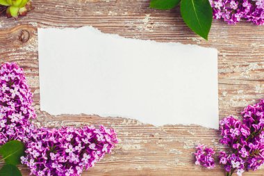 Bir mor Lila ile eski panosunda yırtık kağıt parçası