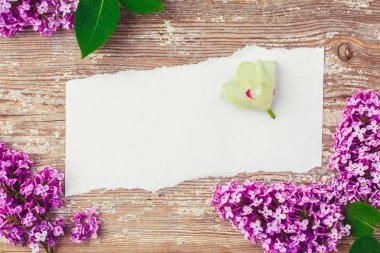 Bir mor Lila ile eski panosunda yırtık kağıt parçası