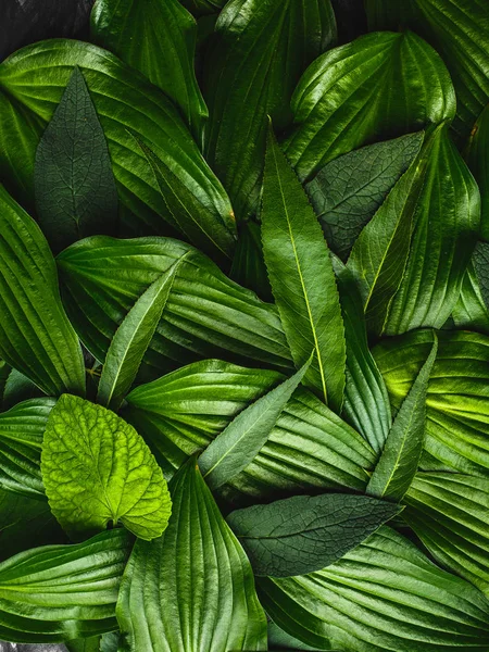 Yeşil yapılmış yaratıcı arka plan bırakır