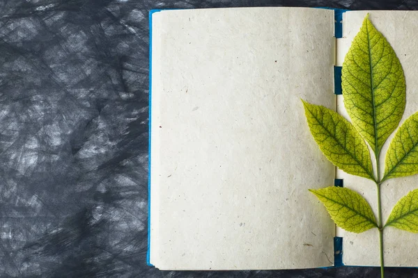 notebook paper with the texture, yellow leaf