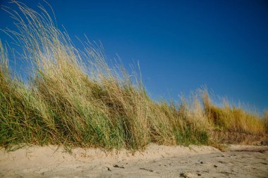 yatay yaz, kum ve güzel mavi gökyüzü plaj