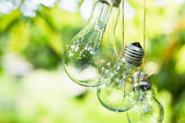 Ampuller bahçedeki ağaca asmak