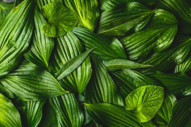 Yeşil yapılmış yaratıcı arka plan bırakır